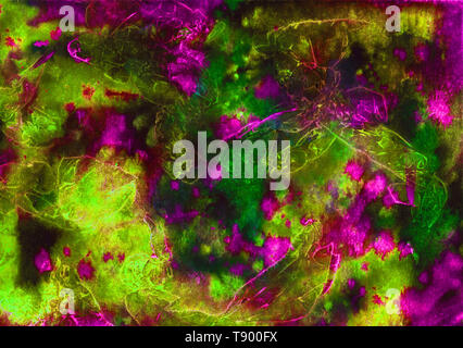 Abstract artistiche dipinte a mano acquerello, miscelati nella tavolozza dei colori di giallo, magenta, verde, colori dell'arcobaleno Foto Stock