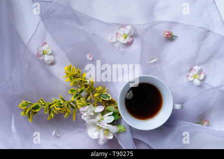 Una tazza di caffè nero è sul blu traslucido materiale lucido. Ci sono fiori e boccioli, petali e euonymus fortunei ramoscelli.Vista dall'alto. Foto Stock