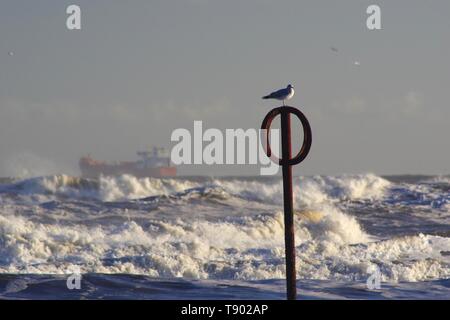 Le navi in servizio su una grossolana del Mare del Nord con onde che si infrangono sulla spiaggia di Aberdeen durante una tempesta di neve. La Scozia, Regno Unito. Foto Stock