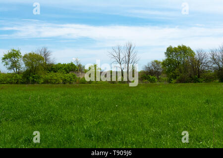 Campo di erba con il vecchio rifugio bomba ricoperta di overgrowth in background. Widewin National Tallgrass Prairie, Wilmington, Illinois Foto Stock