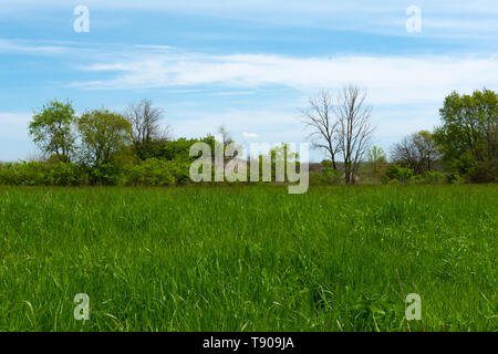 Campo di erba con il vecchio rifugio bomba ricoperta di overgrowth in background. Widewin National Tallgrass Prairie, Wilmington, Illinois Foto Stock