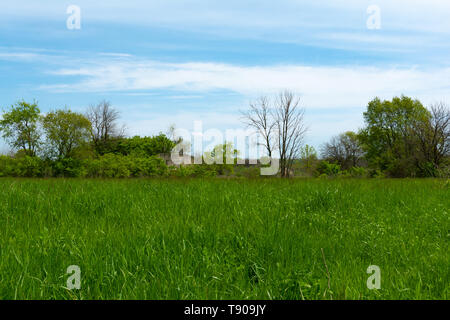 Campo di erba con il vecchio rifugio bomba ricoperta di overgrowth in background. Widewin National Tallgrass Prairie, Wilmington, Illinois Foto Stock