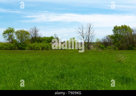 Campo di erba con il vecchio rifugio bomba ricoperta di overgrowth in background. Widewin National Tallgrass Prairie, Wilmington, Illinois Foto Stock