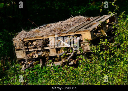 Un bug hotel alla spazzola Hill Riserva Naturale, Princes Risborough, Buckinghamshire, UK Foto Stock