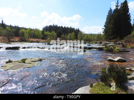 Pool di lontra /Otterpool,Raiders Road , Galloway Forest. Vicino a Newton Stewart, Wigtownshire Dumfries and Galloway, Scozia Foto Stock