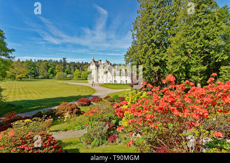 Il castello di BALLINDALLOCH BANFFSHIRE SCOTLAND I giardini in primavera con coloratissime azalee Foto Stock