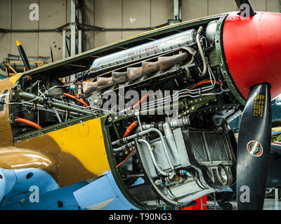 Curtiss P-40F Warhawk - Motore costruito 1941 - Il motore è una Rolls Royce Merlin 500 Foto Stock