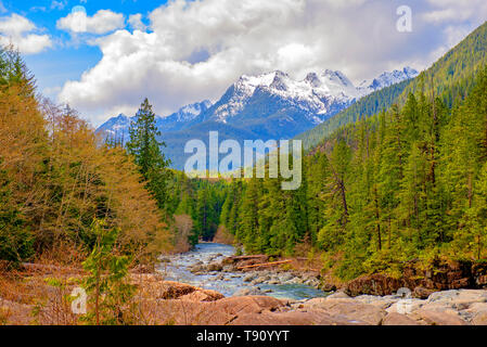 Vista del fiume Kennedy e la gamma della montagna con il paesaggio forestale in Isola di Vancouver, BC Foto Stock