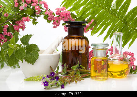 Rimedi naturali - le erbe fresche. Le medicine naturali, aromaterapia - Bach. Foto Stock