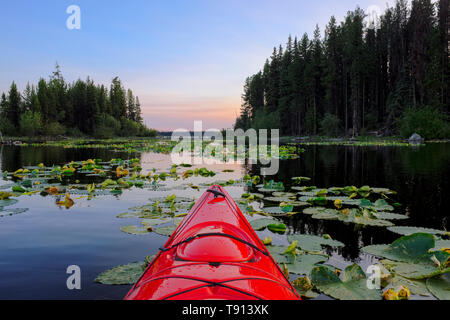 Kayaker con un rosso kayak sul lago di castoro al tramonto, Winfield, British Columbia, Canada Foto Stock