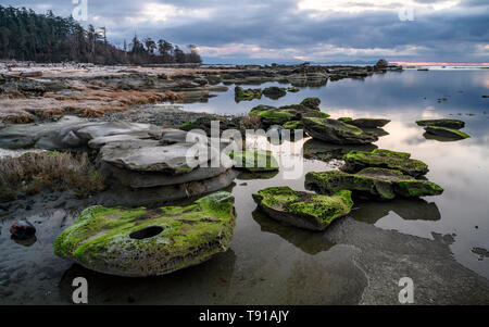 Heron rocce, Hornby isola, Isola di Vancouver, BC, Canada Foto Stock