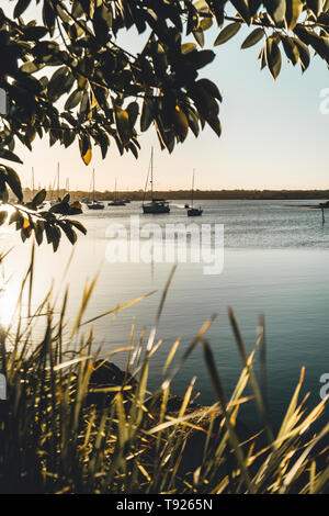 Nel tardo pomeriggio sun sul fiume di Yamba, nord del New South Wales, Australia Foto Stock