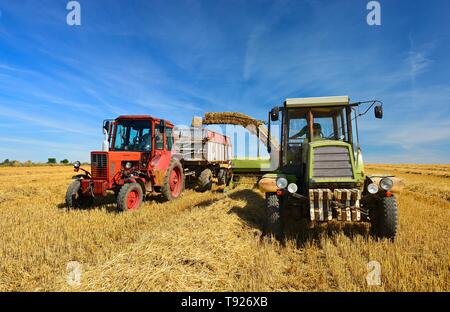 Pressa per balle scarica le balle di paglia sul rimorchio del trattore, stoppia campo sotto il cielo blu, a Alsleben, Sassonia-Anhalt, Germania Foto Stock