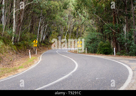 Tortuosa strada attraverso la foresta in Victoria Australia Foto Stock