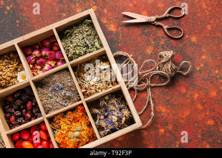 Scatola di legno con diversi fiori secchi, di erbe e di rosa canina sulla tabella dei colori Foto Stock