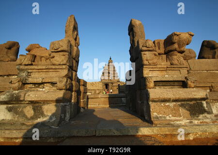 Tempio Shore a mahabalipuram, sito patrimonio mondiale dell'UNESCO, Tamil Nadu, India, Asia Foto Stock