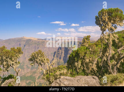 Simien Mountains National Park in Etiopia Foto Stock