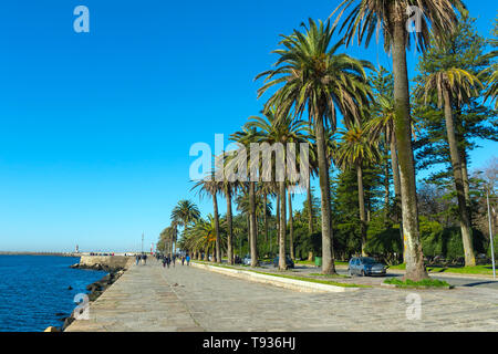 Foz do Douro lungomare con palme in inverno , la spiaggia di Porto, Portogallo Foto Stock