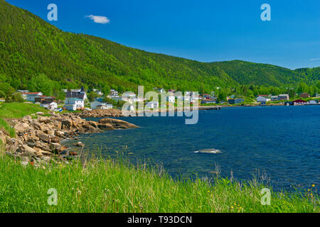 Villaggio di Pescatori e il litorale lungo la baia di bianco. Baie Verte penisola. Terranova e Labrador Canada Foto Stock