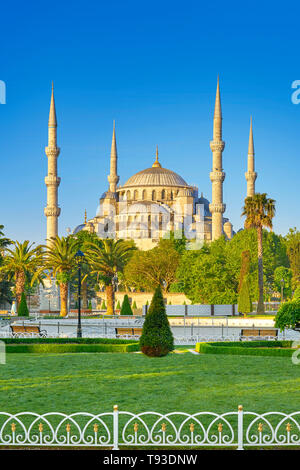 La Moschea Blu, Sultan Ahmed moschea, Sito Patrimonio Mondiale dell'UNESCO, Istanbul, Turchia Foto Stock