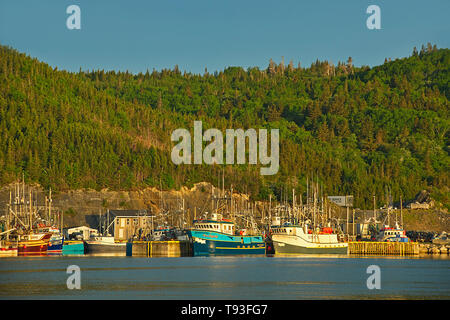 Villaggio di Pescatori in La Scie porto fuori l'Oceano Atlantico, Baie Verte la penisola, La Scie, Terranova e Labrador, Canada Foto Stock