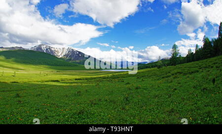 Paesaggio scendere montagne in Altai. Paesaggio nei campi. Foto Stock