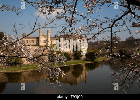 Blossom e fossato Castello di Leeds maidstone kent england Foto Stock