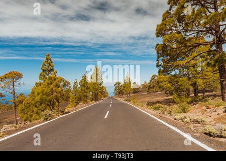Strada nel deserto vulcanico Tenerife, Canarie. Asfalto e la linea bianca sulla strada Foto Stock