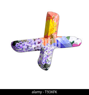 Il Plus + simbolo parte di un insieme di lettere, numeri e simboli di 3D alfabeto realizzato con coloratissime immagini floreali su sfondo bianco Foto Stock