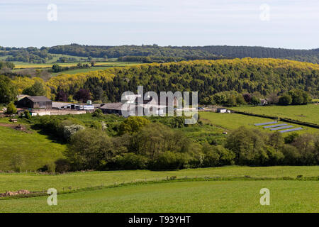 Panta Farm home a Brooke di Wye Valley azienda lattiero-casearia nella valle del Wye, Galles. Jersey latte è utilizzato per il formaggio e gelato. Foto Stock