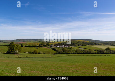 Panta Farm home a Brooke di Wye Valley azienda lattiero-casearia nella valle del Wye, Galles. Jersey latte è utilizzato per il formaggio e gelato. Foto Stock