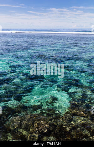 Il chiaro blu oceano pacifico acqua nera con pietre vulcaniche nella barriera corallina su un isola tropicale, Samoa, Polinesia. Foto Stock