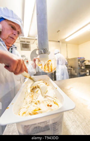 Per la fabbricazione dei gelati in corrispondenza di Brooke di Wye Valley azienda lattiero-casearia nella valle del Wye, Galles. Jersey latte è utilizzato per il formaggio e gelato. Foto Stock