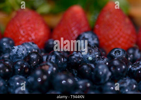 Estate frutti di bosco, fragole e mirtilli appena raccolto produrre. Concetto di agricoltura, allevamento, dieta sana, hipster prodotti alimentari, blog, frutta, Foto Stock