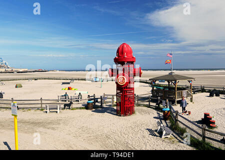 Un cane Parco sulla spiaggia in Wildwood, New Jersey, STATI UNITI D'AMERICA Foto Stock