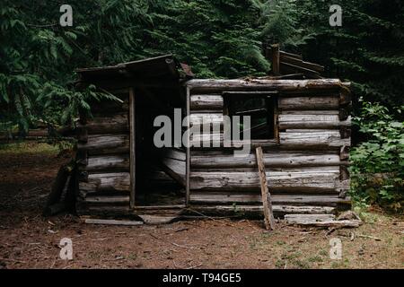 Abbandonata distrutta piccola struttura in legno trovata in una foresta Foto Stock