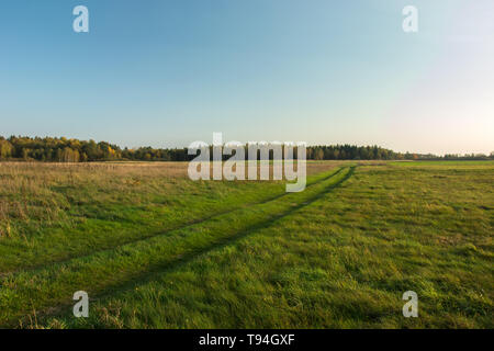 Le tracce delle ruote su un prato verde, autunno foresta colorata e cielo chiaro Foto Stock