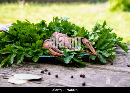 Rosso di gamberi bolliti con erbe su una piastra su una tavola di legno. Close-up Foto Stock
