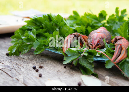 Rosso di gamberi bolliti con erbe su una piastra su una tavola di legno. Close-up Foto Stock
