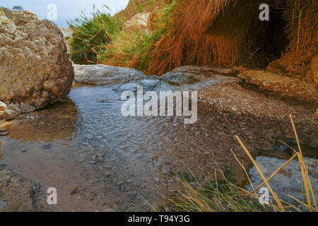 Israele Mar Morto, Ein Gedi parco nazionale la cascata di Wadi David Foto Stock