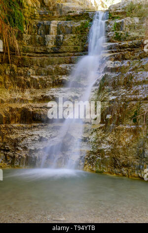 Israele Mar Morto, Ein Gedi parco nazionale la cascata di Wadi David Foto Stock