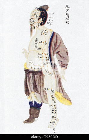 Illustrazione che mostra la cistifellea canale della gamba da shaoyang Renti jingmai tu (illustrazioni dei canali del corpo umano), un testo manoscritto eseguito durante il regno di Kangxi periodo della dinastia Qing (1662-1722). L'agopuntura è una forma di medicina alternativa in cui sottili aghi sono inseriti nel corpo. Si tratta di un componente chiave della medicina tradizionale cinese (MTC). TCM la teoria e la pratica non sono basate su conoscenze scientifiche, e agopuntura è un pseudoscience. Foto Stock