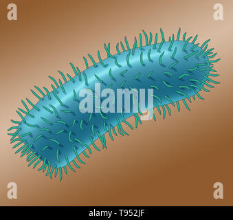 Immagine che mostra il virus della rabbia. Il virus della rabbia è un virus neurotropici che provoca la rabbia negli esseri umani e negli animali. Il virus della rabbia ha una morfologia cilindrica ed è il tipo di specie del genere Lyssavirus della famiglia Rhabdoviridae. Foto Stock