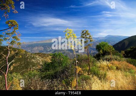 La vista dalla cima di una montagna nella valle sotto il cielo blu in Sierra Nevada, provincia Andalusia, Spagna Foto Stock