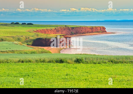 Sabbia rossa e scogliere lungo il Northumberland Campbelton dello Stretto di Prince Edward Island in Canada Foto Stock