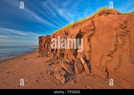 Sabbia rossa e scogliere lungo il Northumberland Campbelton dello Stretto di Prince Edward Island in Canada Foto Stock