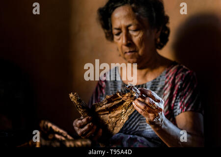 Laura Peña, un 67-anno-vecchia donna di El Salvador, rotoli di foglie di tabacco per fare sigari fatti a mano nella sua casa di Suchitoto, El Salvador. Foto Stock