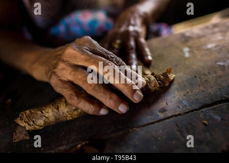 Le mani di Laura Peña, un 67-anno-vecchia donna di El Salvador, sono visti durante il rotolamento delle foglie di tabacco per fare sigari fatti a mano in Suchitoto, El Salvador. Foto Stock