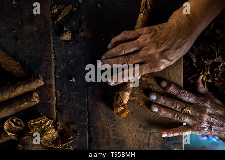 Le mani di Laura Peña, un 67-anno-vecchia donna di El Salvador, sono visti durante il rotolamento delle foglie di tabacco per fare sigari fatti a mano in Suchitoto, El Salvador. Foto Stock