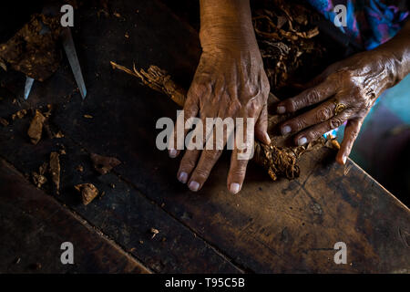 Le mani di Laura Peña, un 67-anno-vecchia donna di El Salvador, sono visti durante il rotolamento delle foglie di tabacco per fare sigari fatti a mano in Suchitoto, El Salvador. Foto Stock